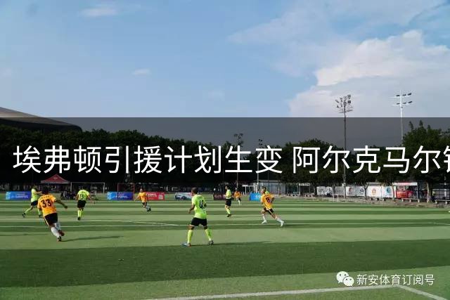 埃弗顿引援计划生变 阿尔克马尔锋霸或成意外之选